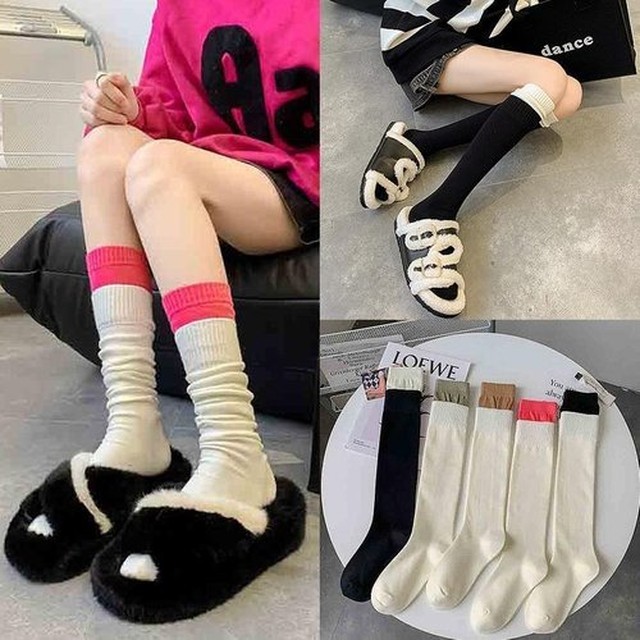 니랑 이미지