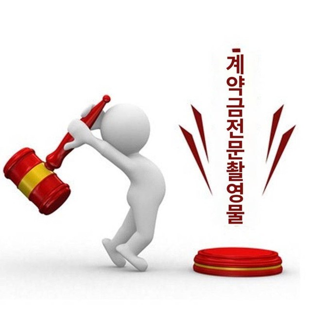 비유메이드 이미지