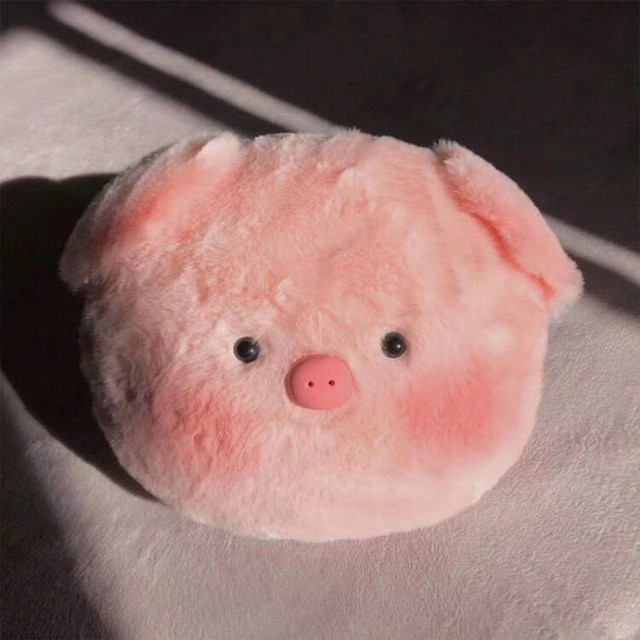 위티 이미지