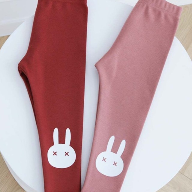 레빗 이미지