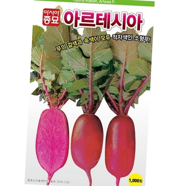 샐러립 이미지