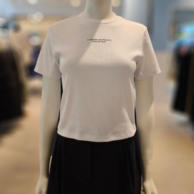 클라이드앤 이미지