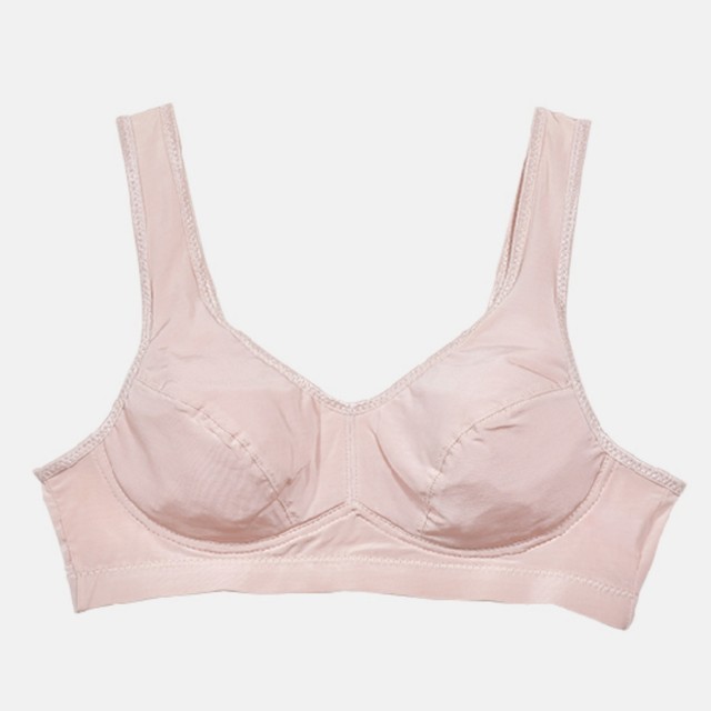 모아쿨 이미지