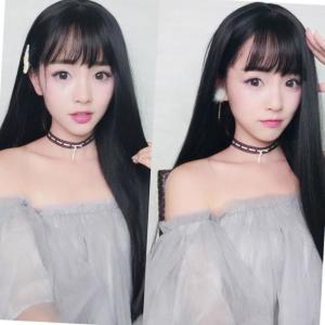 플랜트 이미지
