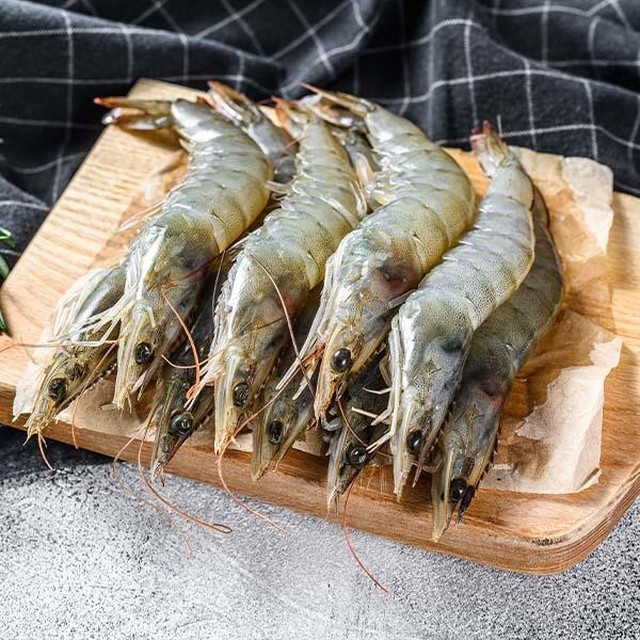 담음 이미지