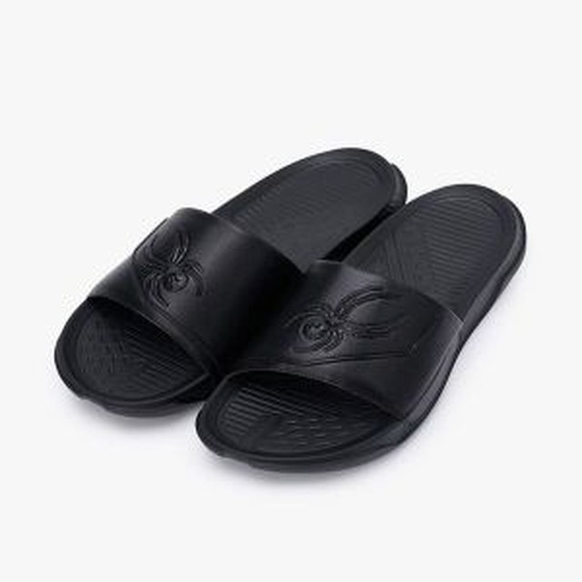 씨드 이미지