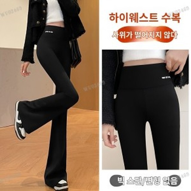 엘와이 이미지