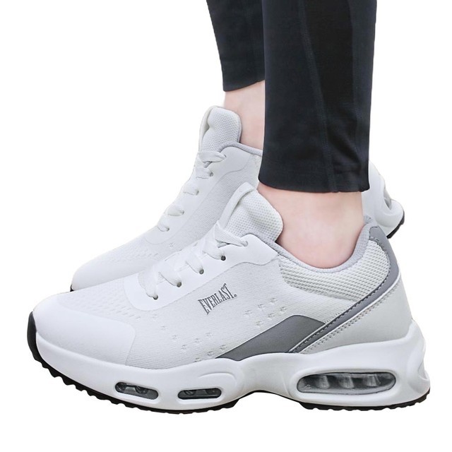 레이시스 이미지