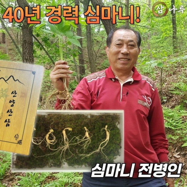 나루 이미지