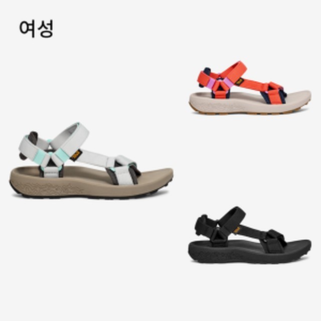 테바 이미지
