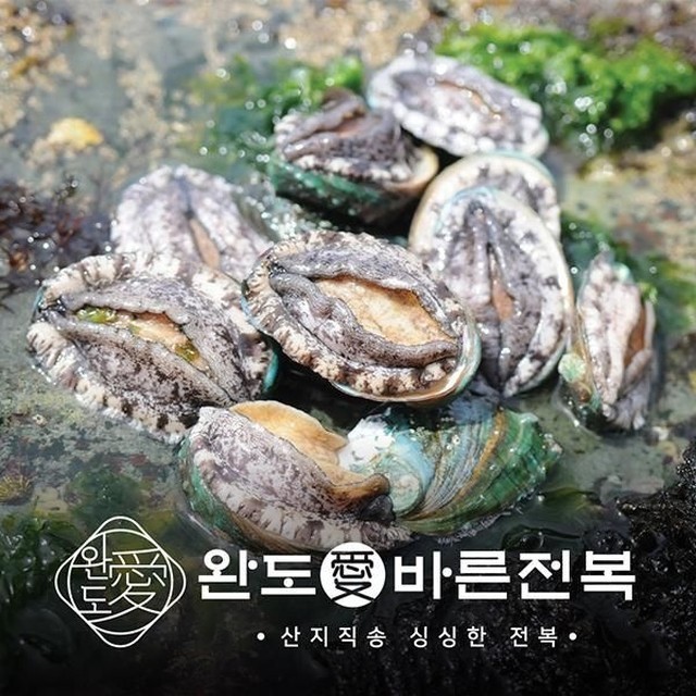 바른 이미지