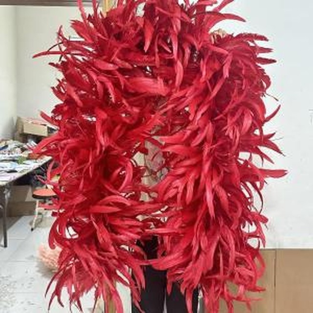 테일야드 이미지