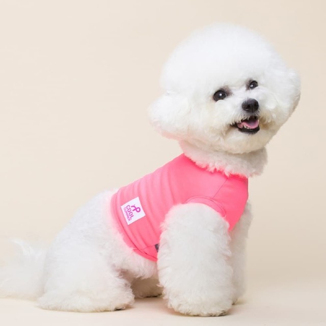 아이스M 이미지