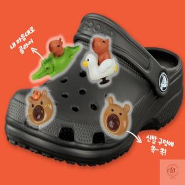신발 이미지