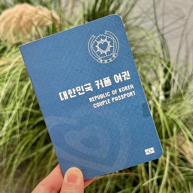 필레오 이미지