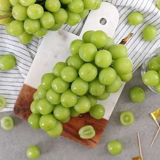 다농 이미지