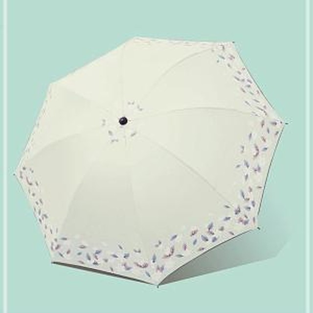 브리즈 이미지
