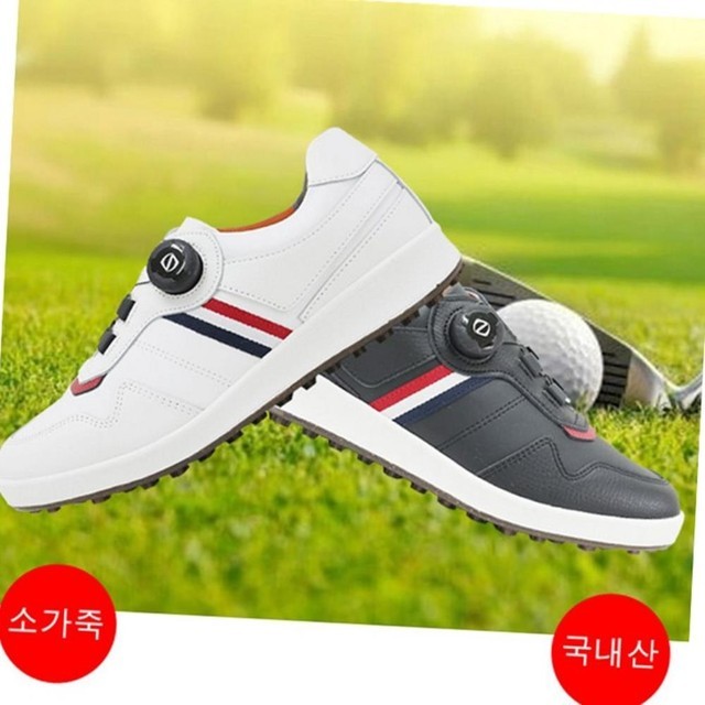 고트 이미지