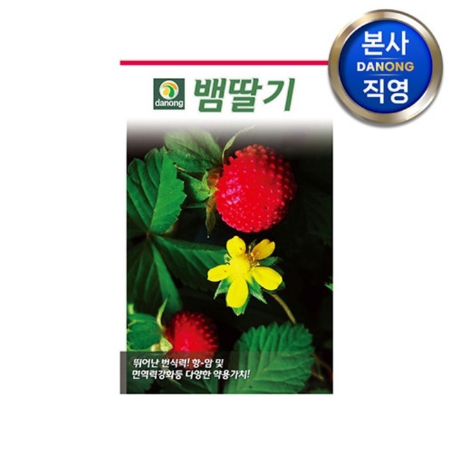 영미의 정원 이미지