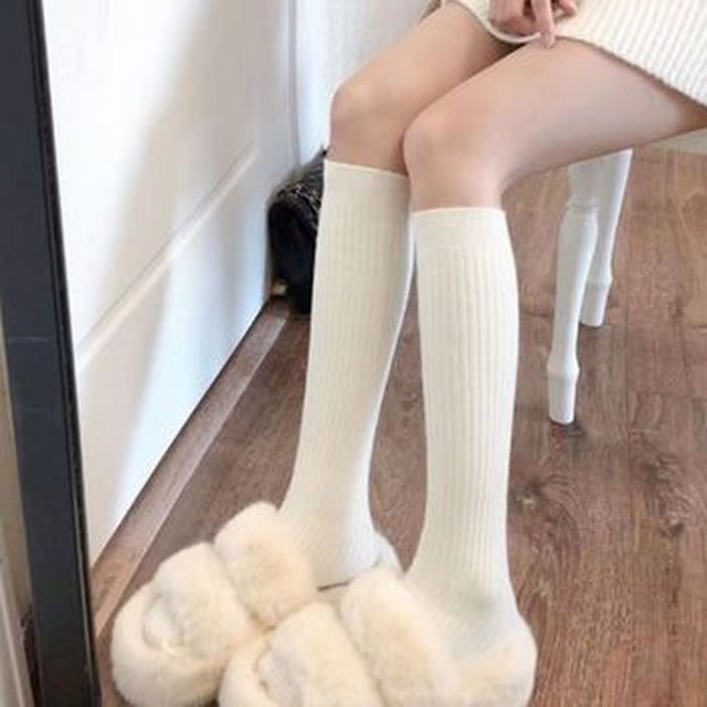 니랑 이미지