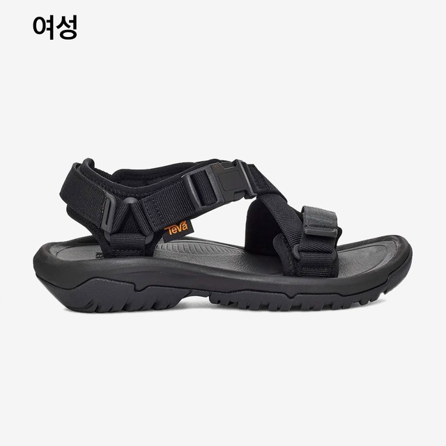 테바 이미지