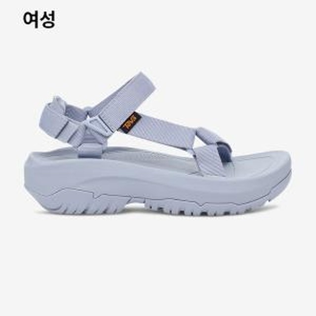 테바 이미지