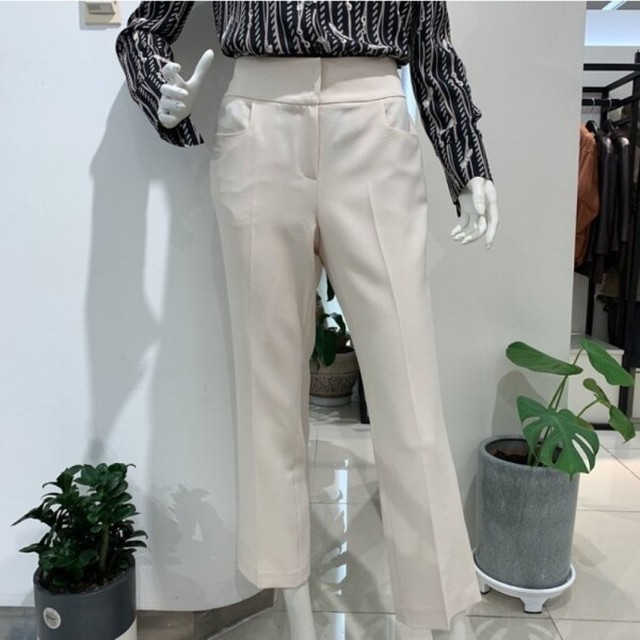안지크 이미지