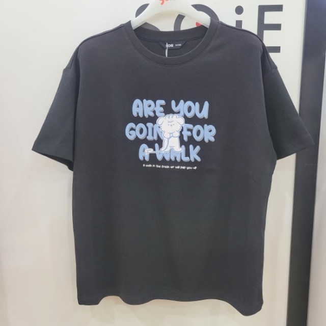 소이 이미지