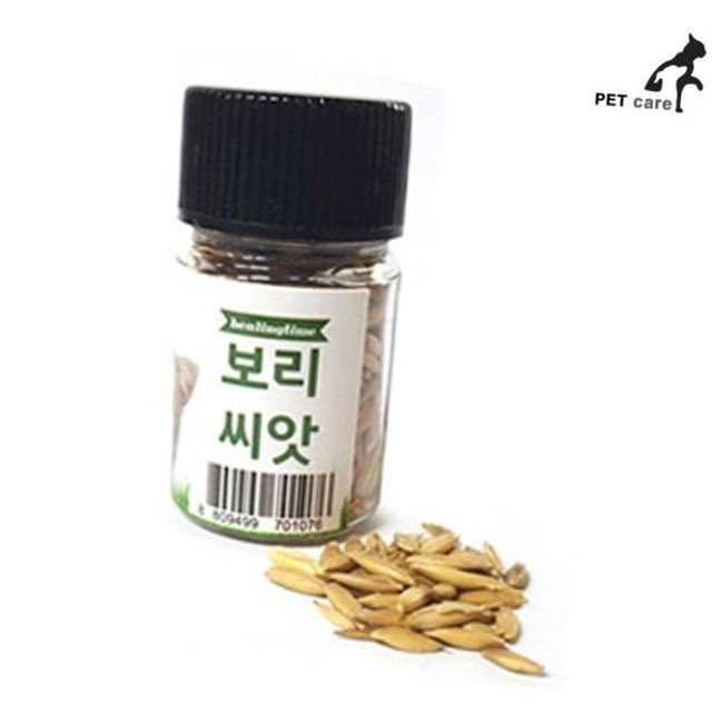 힐링타임 이미지