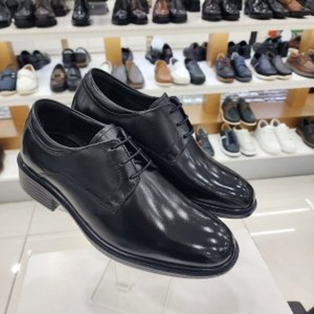 엘칸토 이미지