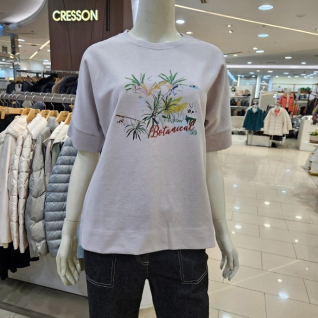 크레송 이미지