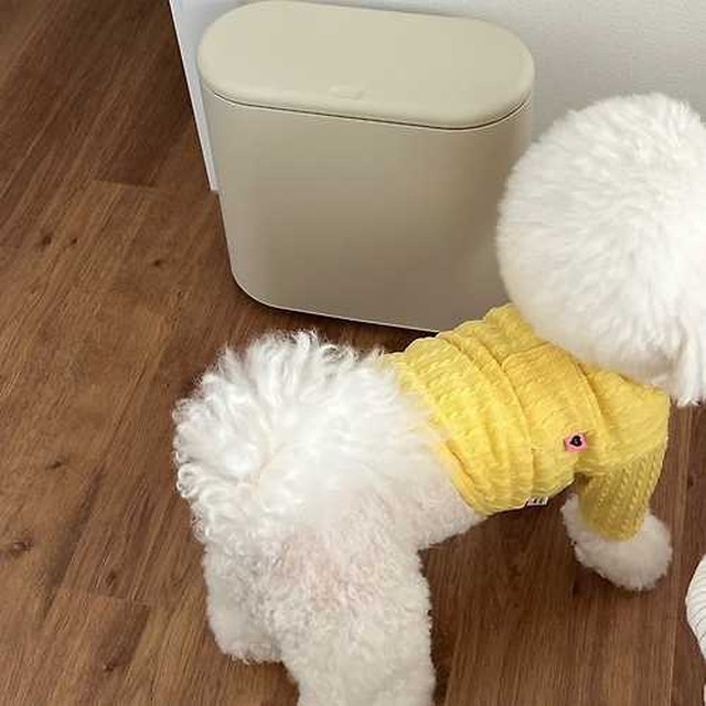 꼴레트 이미지