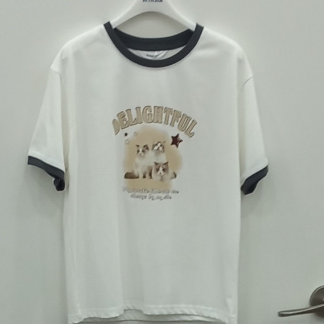 에꼴리에 이미지