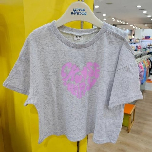 리틀밥독 이미지