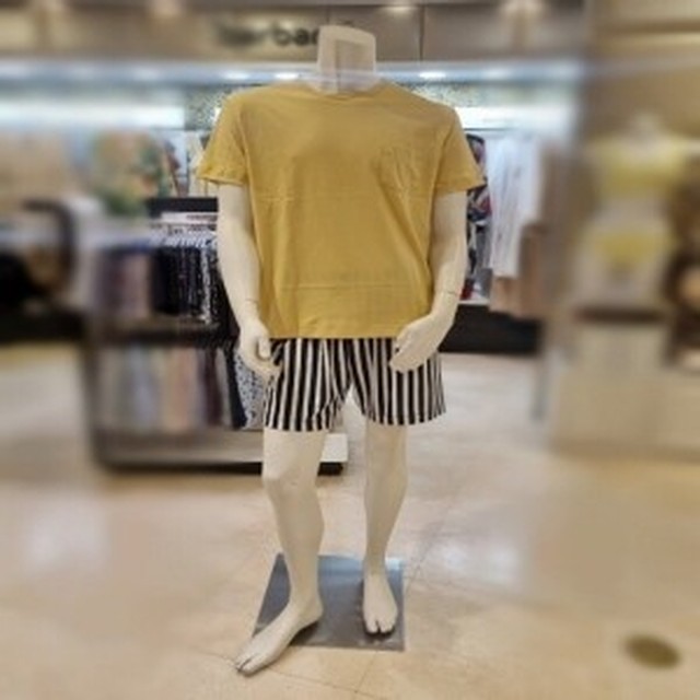 바바라 이미지