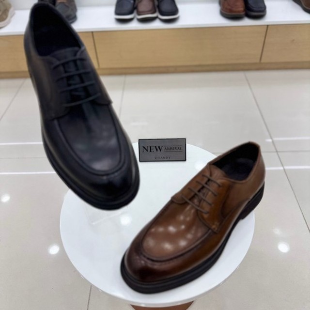 탠디 이미지