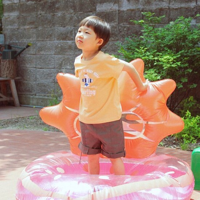 토토라면 이미지