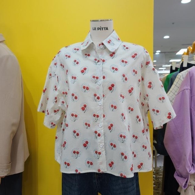 피타 이미지