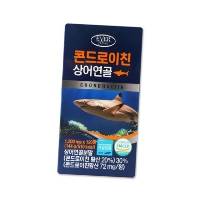 에버그린 이미지