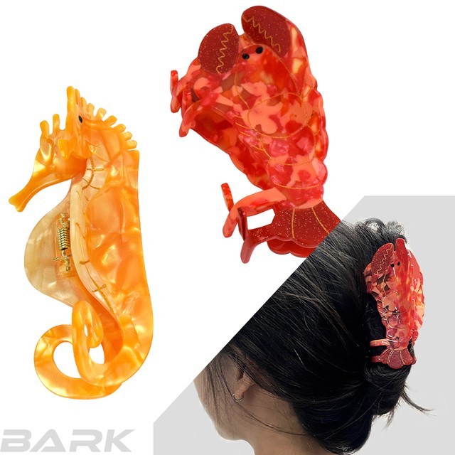 해마 이미지
