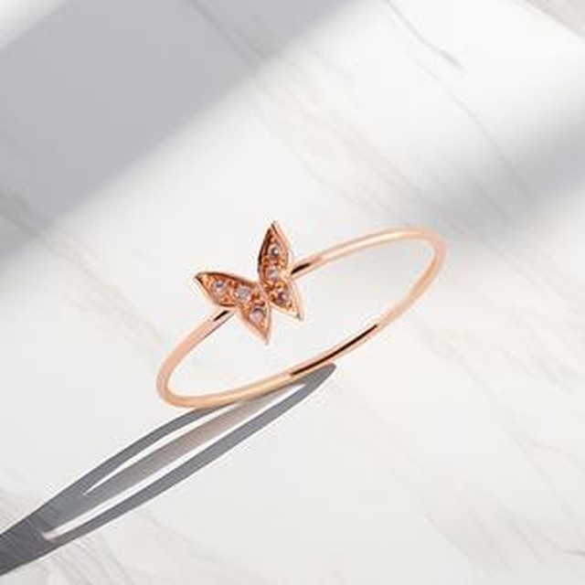 엘렌 이미지