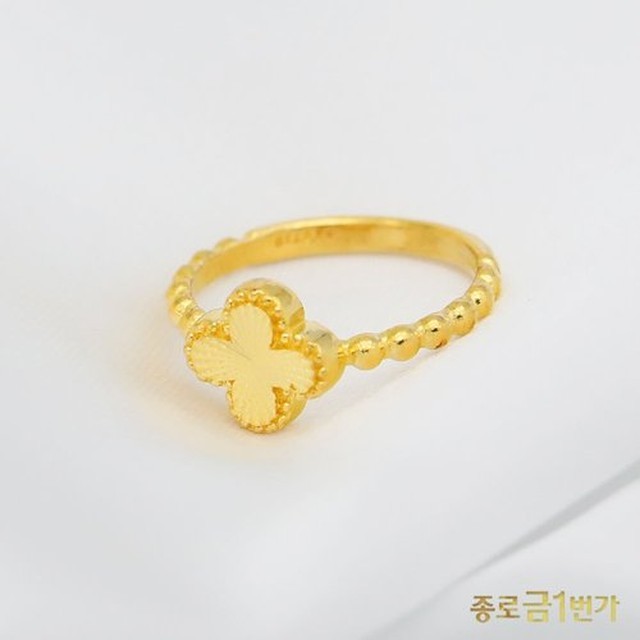 포리프 이미지