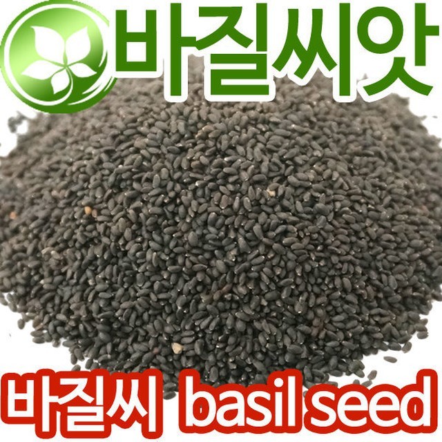씨드 이미지