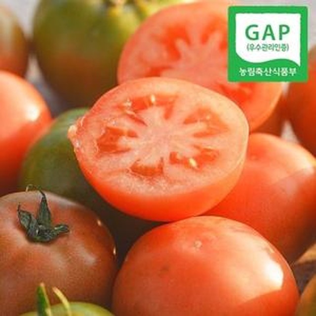 토마토 이미지