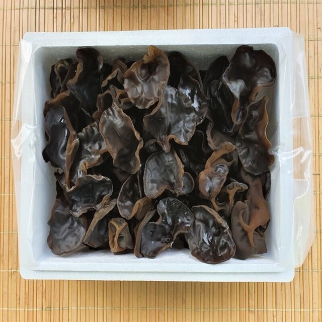원더몰 이미지