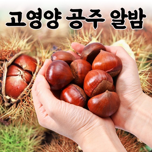 정안 이미지