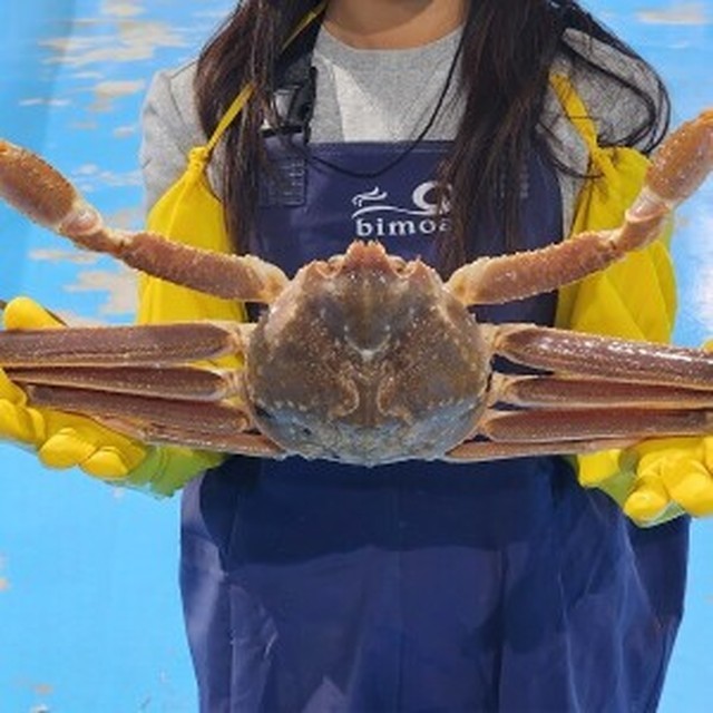 생생수산 이미지