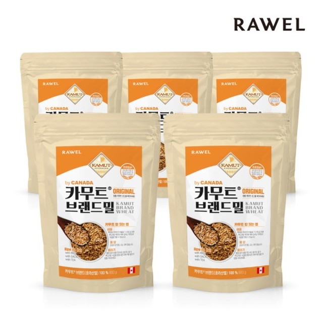 로엘 이미지