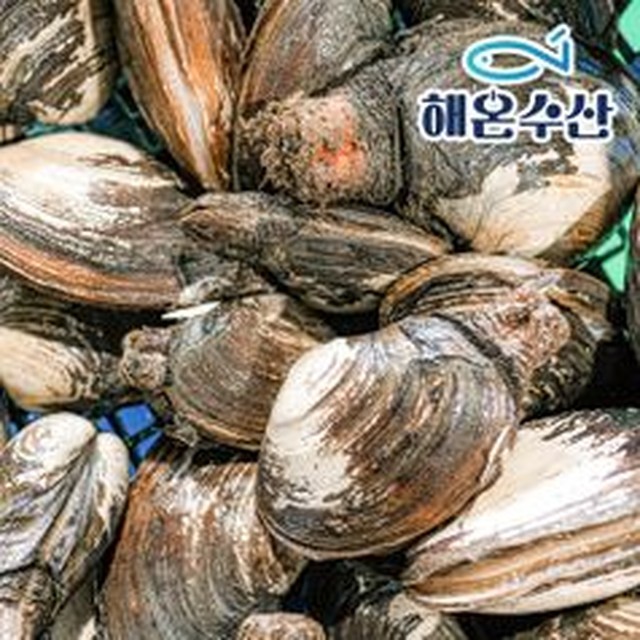 자연산 이미지