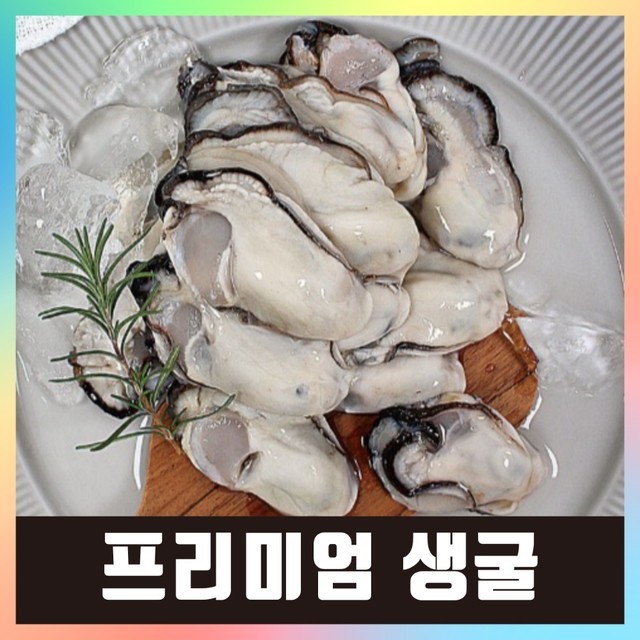 굴 이미지